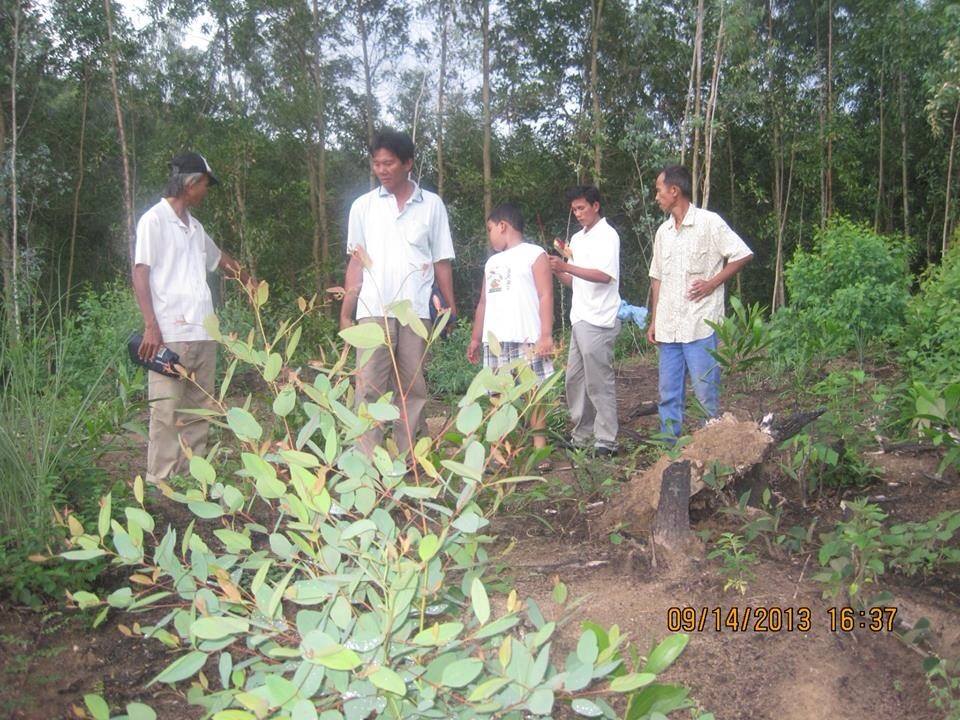 Công tác khảo sát xây dựng khu di tích dòng họ Lê